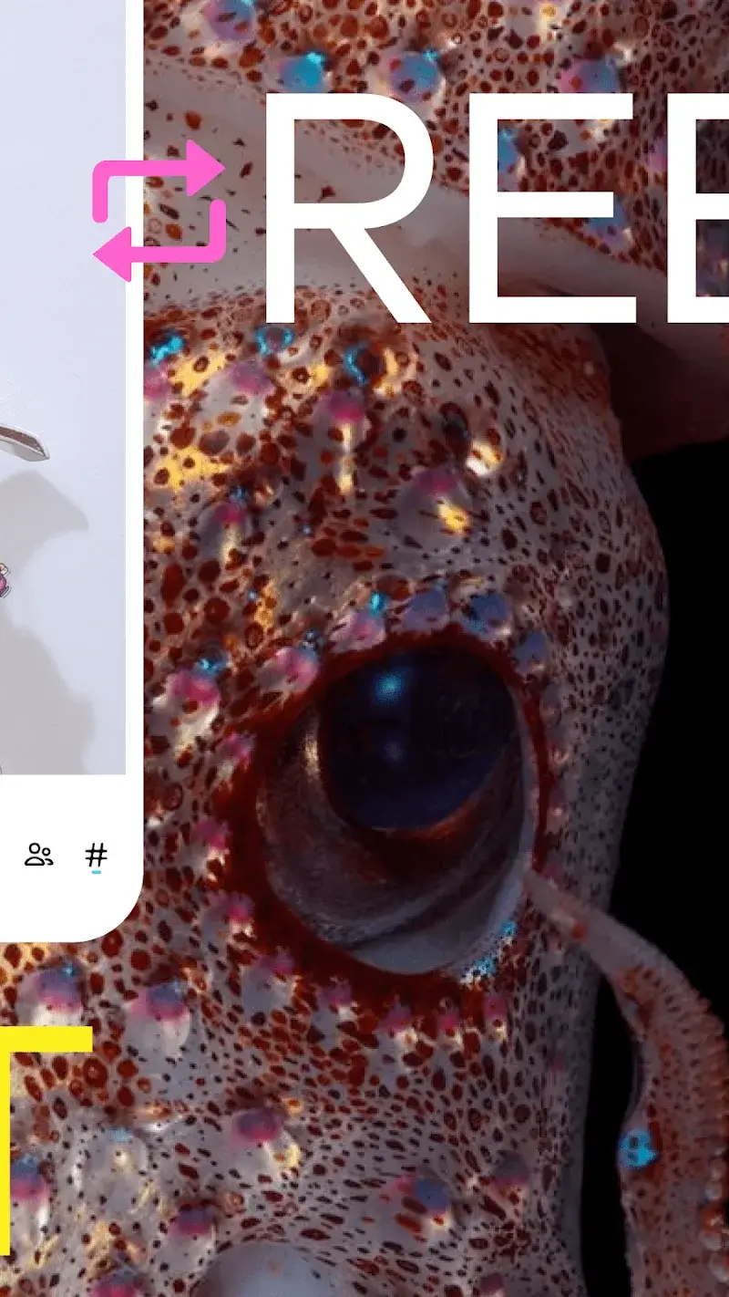 Captura de Pantalla de Tumblr 6