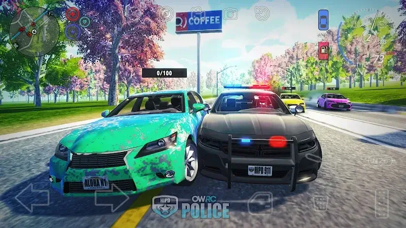 OWRC Police screenshot 5