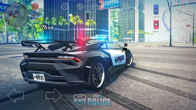 OWRC Police screenshot 6