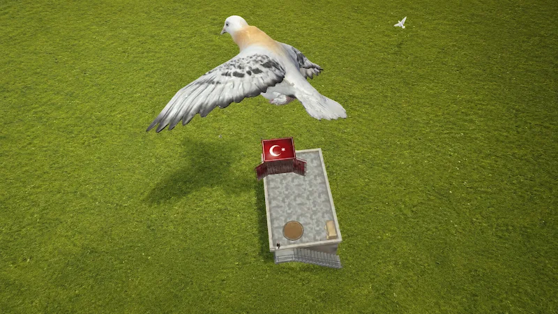 Pigeon Paradise скриншот 3
