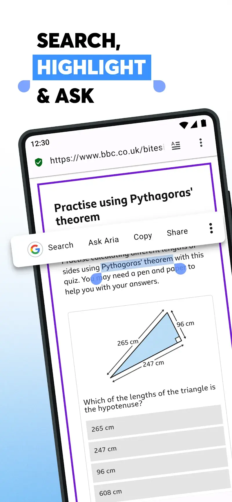 Opera Browser screenshot 1