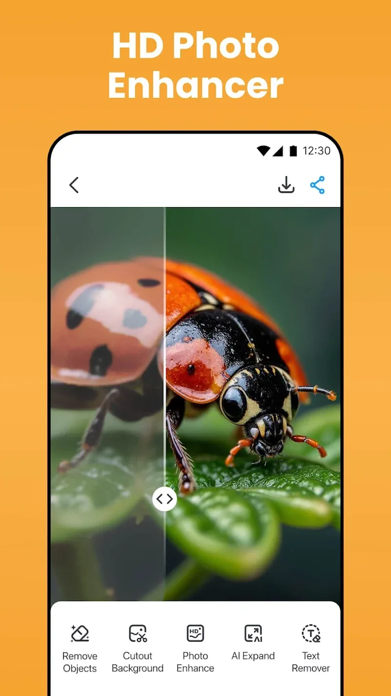 BgMaster Скриншот 2
