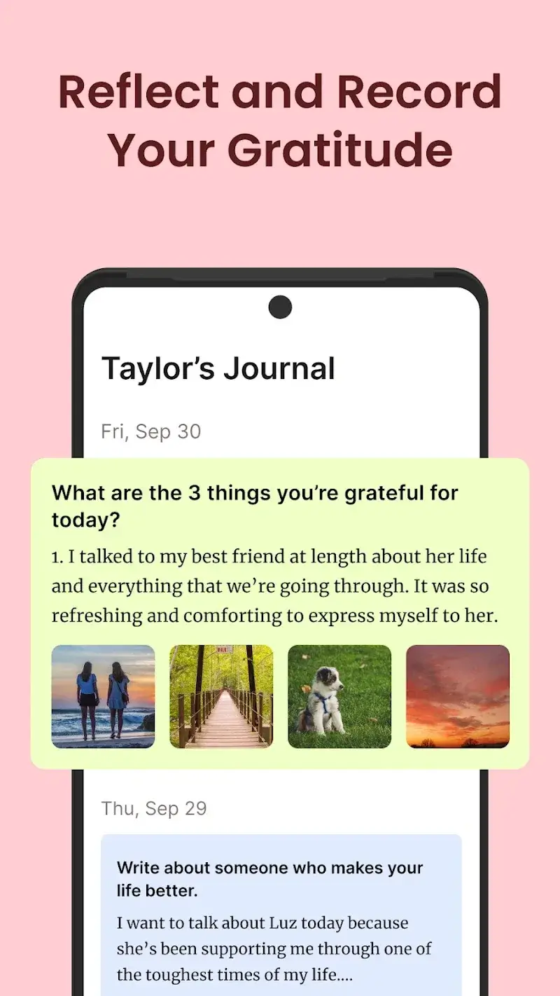 Screenshot 4: Gratitude Journal Interface
