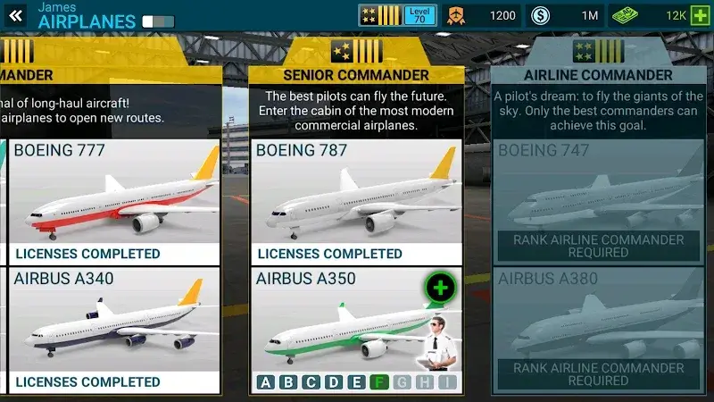 ภาพหน้าจอ Airline Commander 5