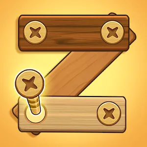 Screw Puzzle
