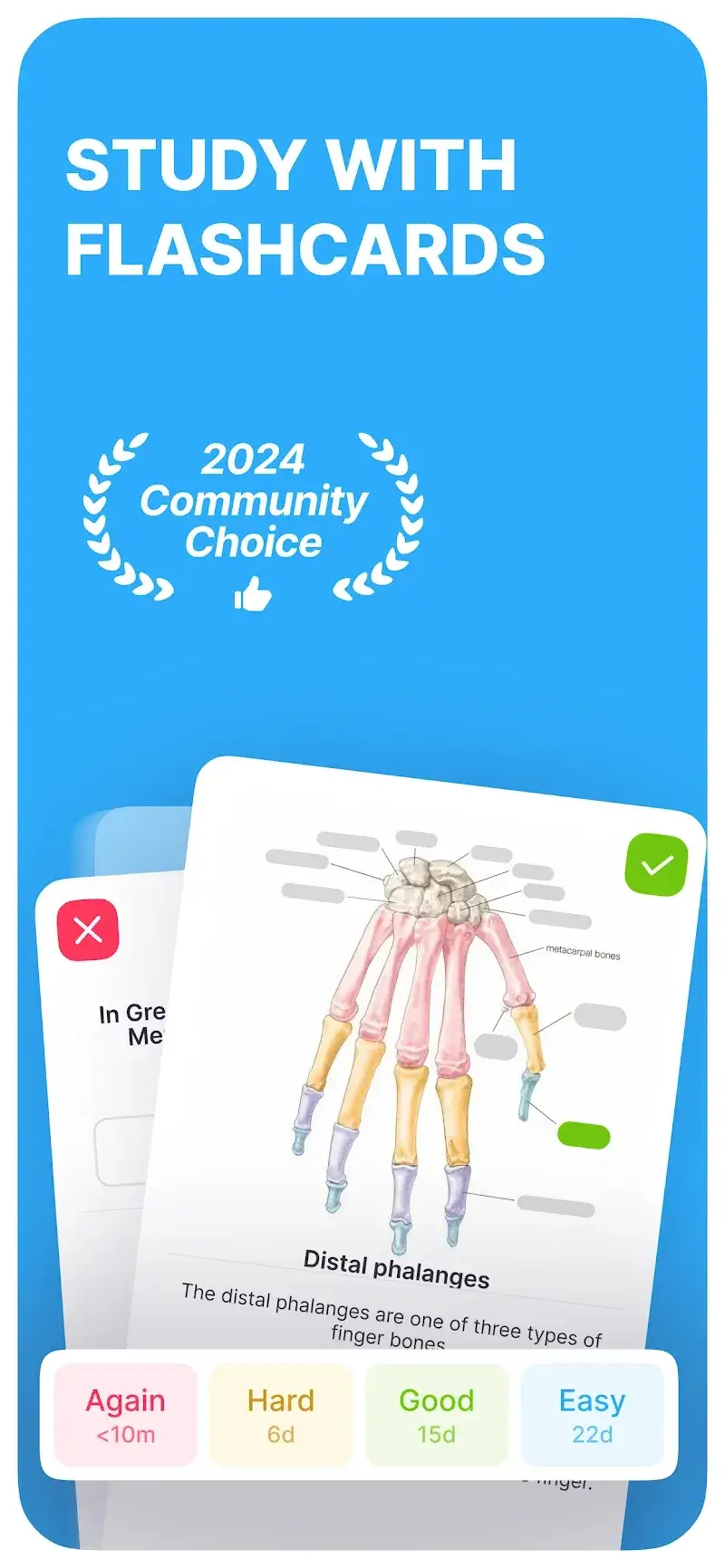 Noji: Study with Flashcards スクリーンショット 1
