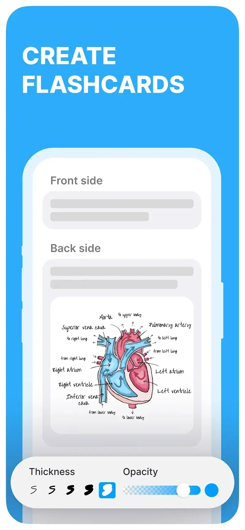 Noji: Study with Flashcards スクリーンショット 2