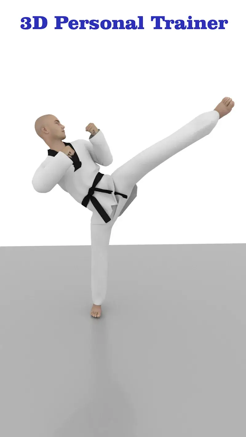 Taekwondo Workout At Home screenshot 2