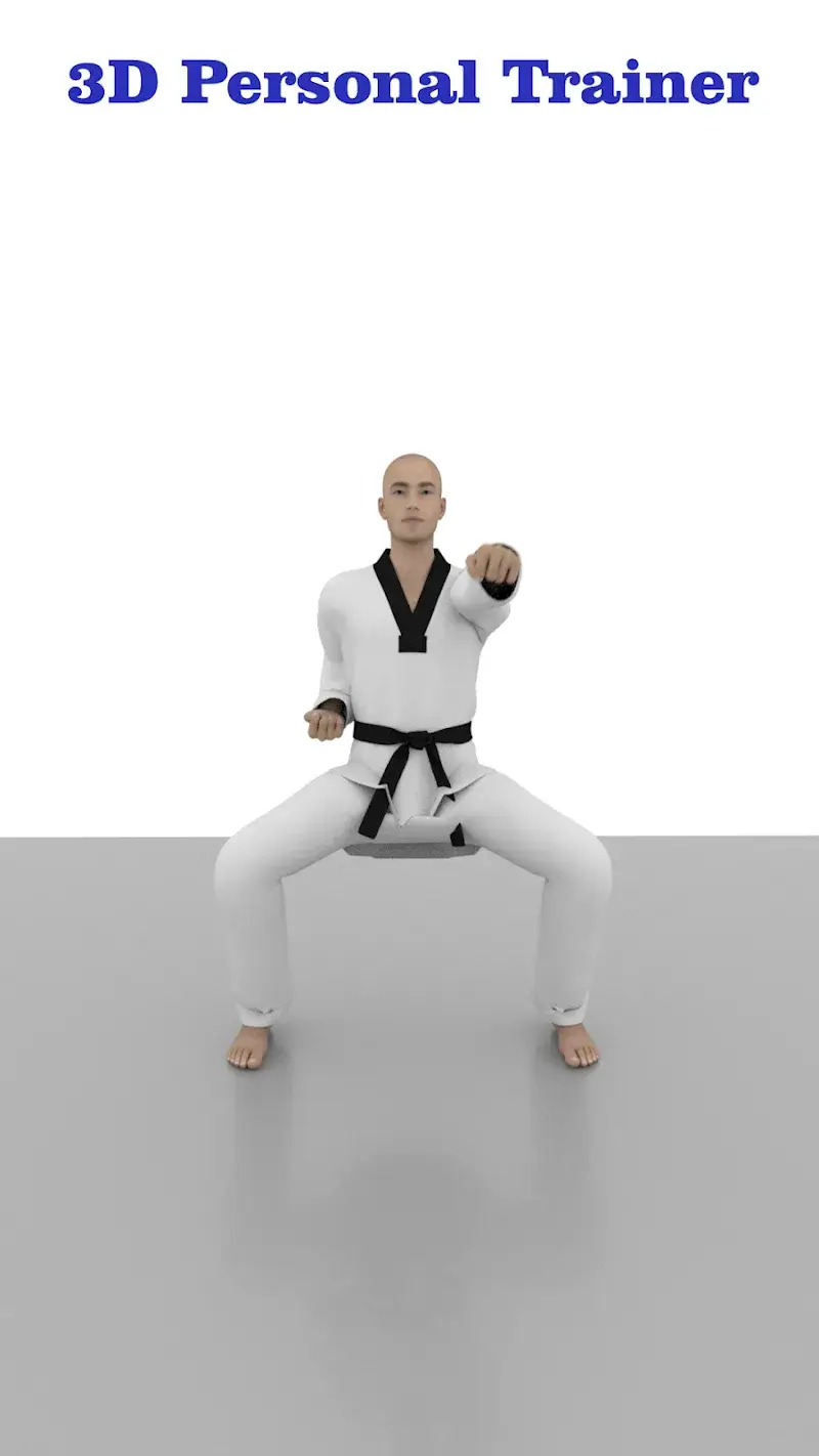 Taekwondo Workout At Home screenshot 3