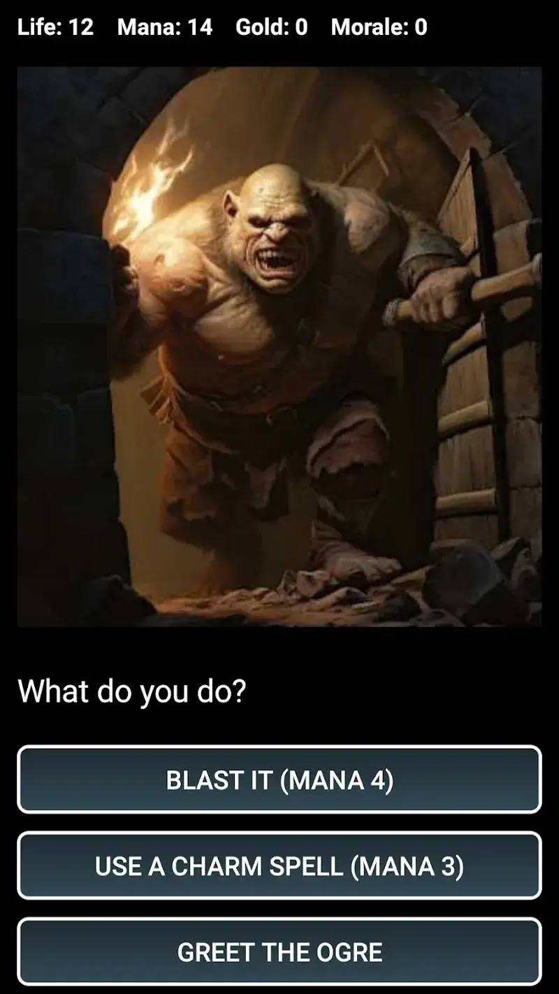Ảnh chụp màn hình Dungeons and Decisions RPG 1