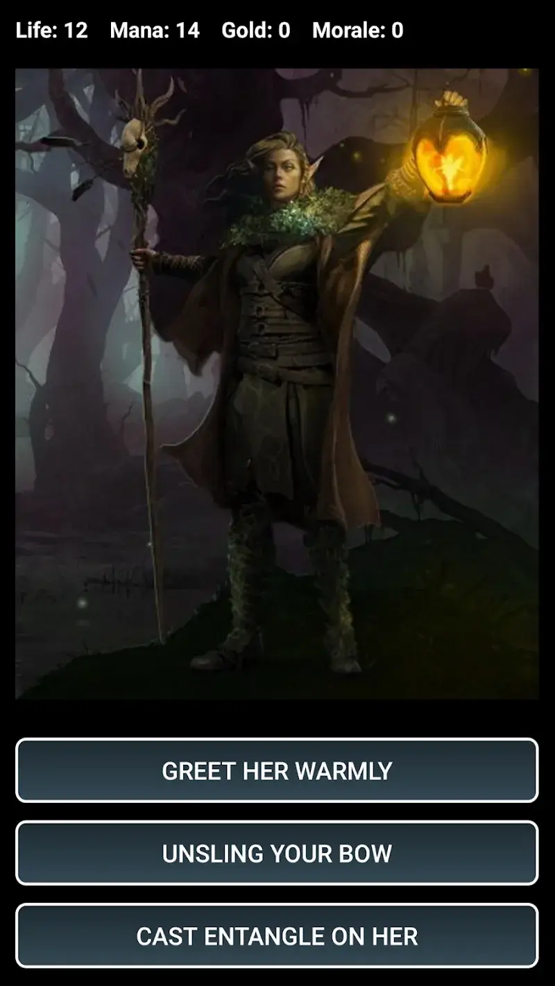 Ảnh chụp màn hình Dungeons and Decisions RPG 2
