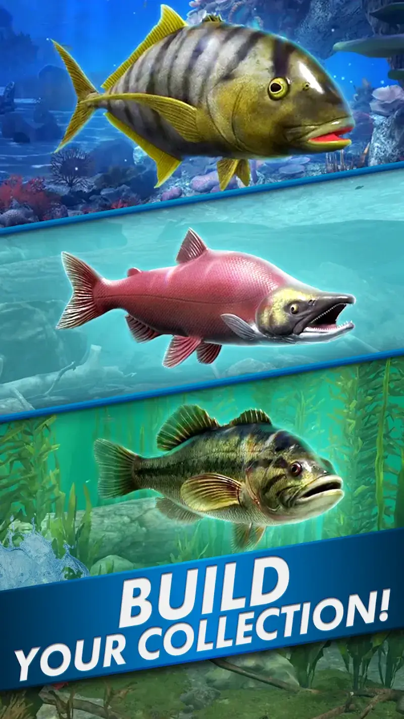 Go Fishing screenshot 5
