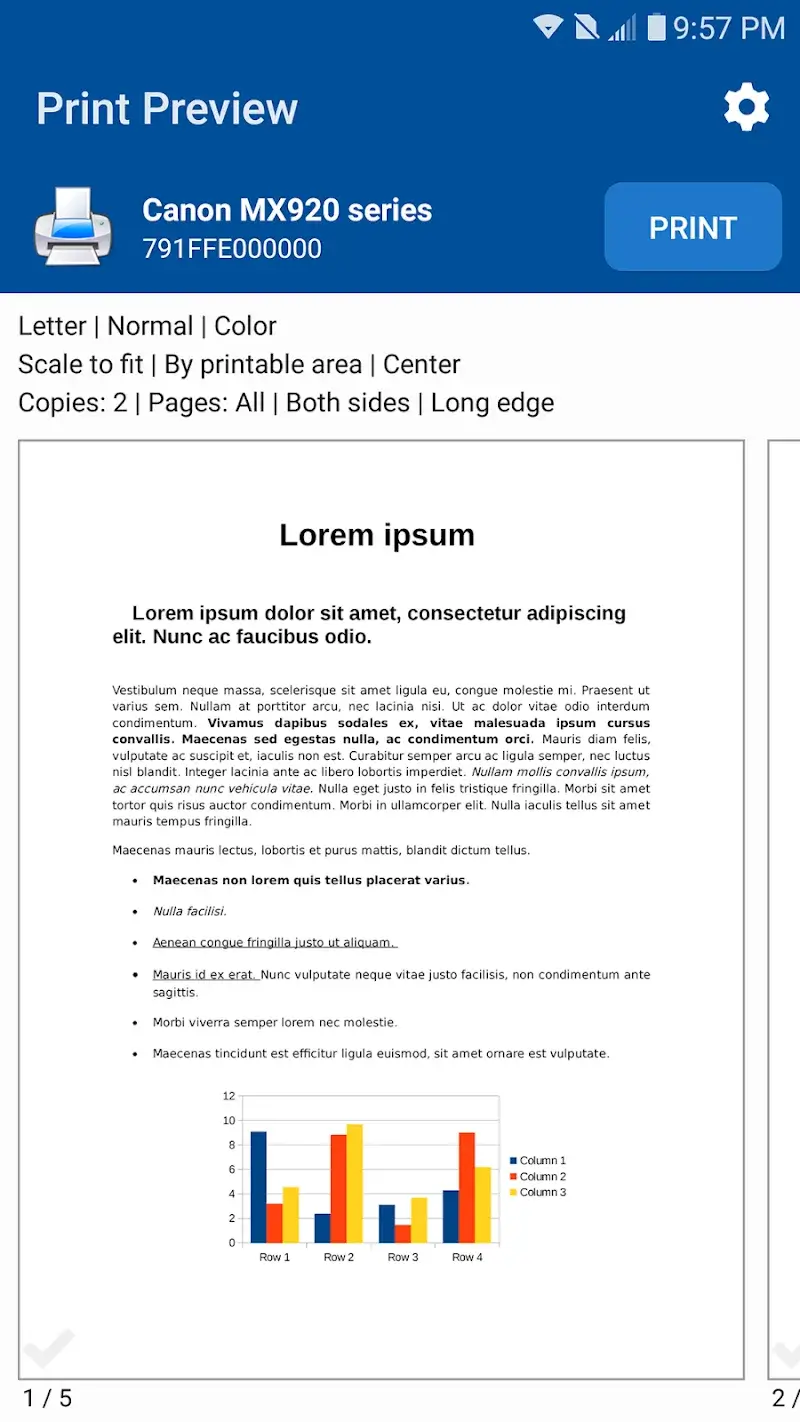 NokoPrint screenshot 3