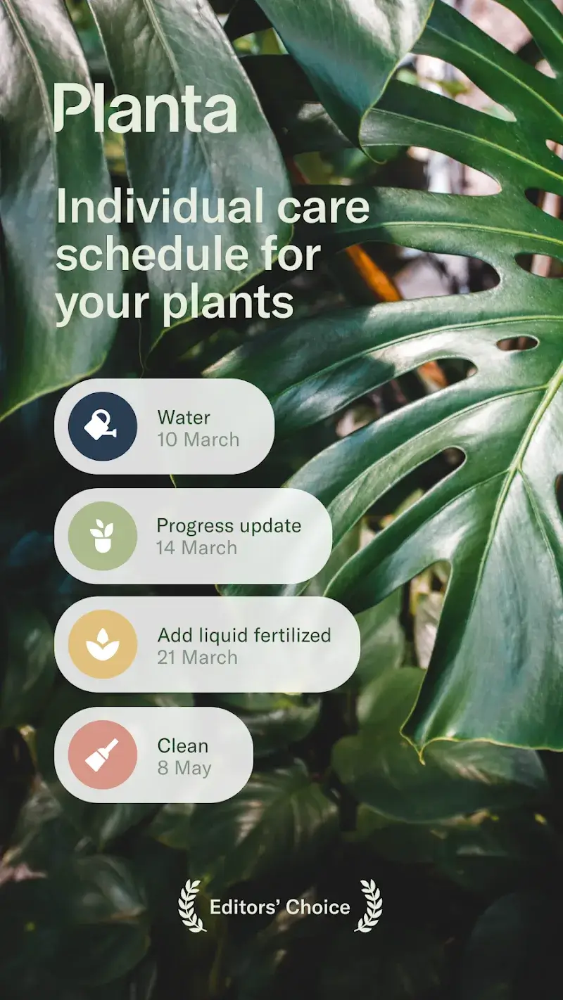 Screenshot di Planta 1