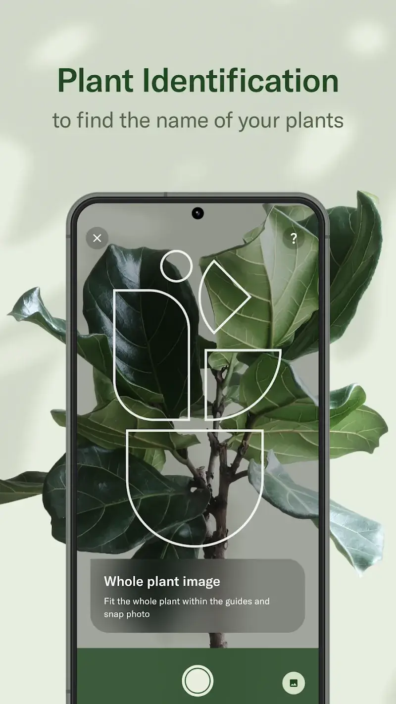 Screenshot di Planta 3