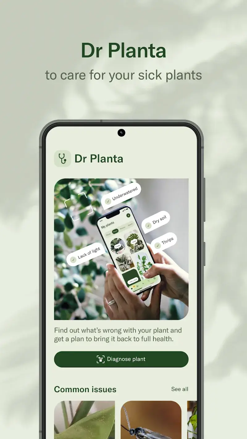 Screenshot di Planta 4