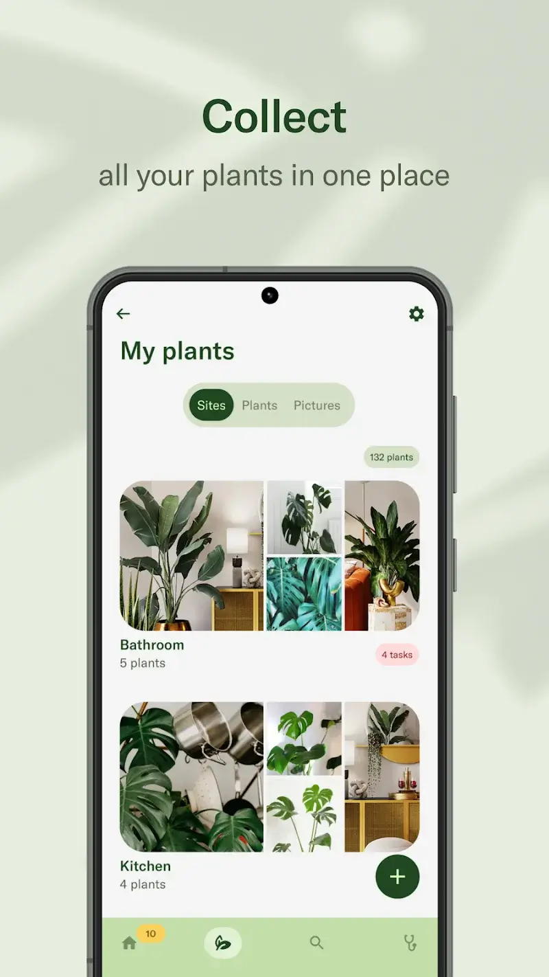 Screenshot di Planta 6