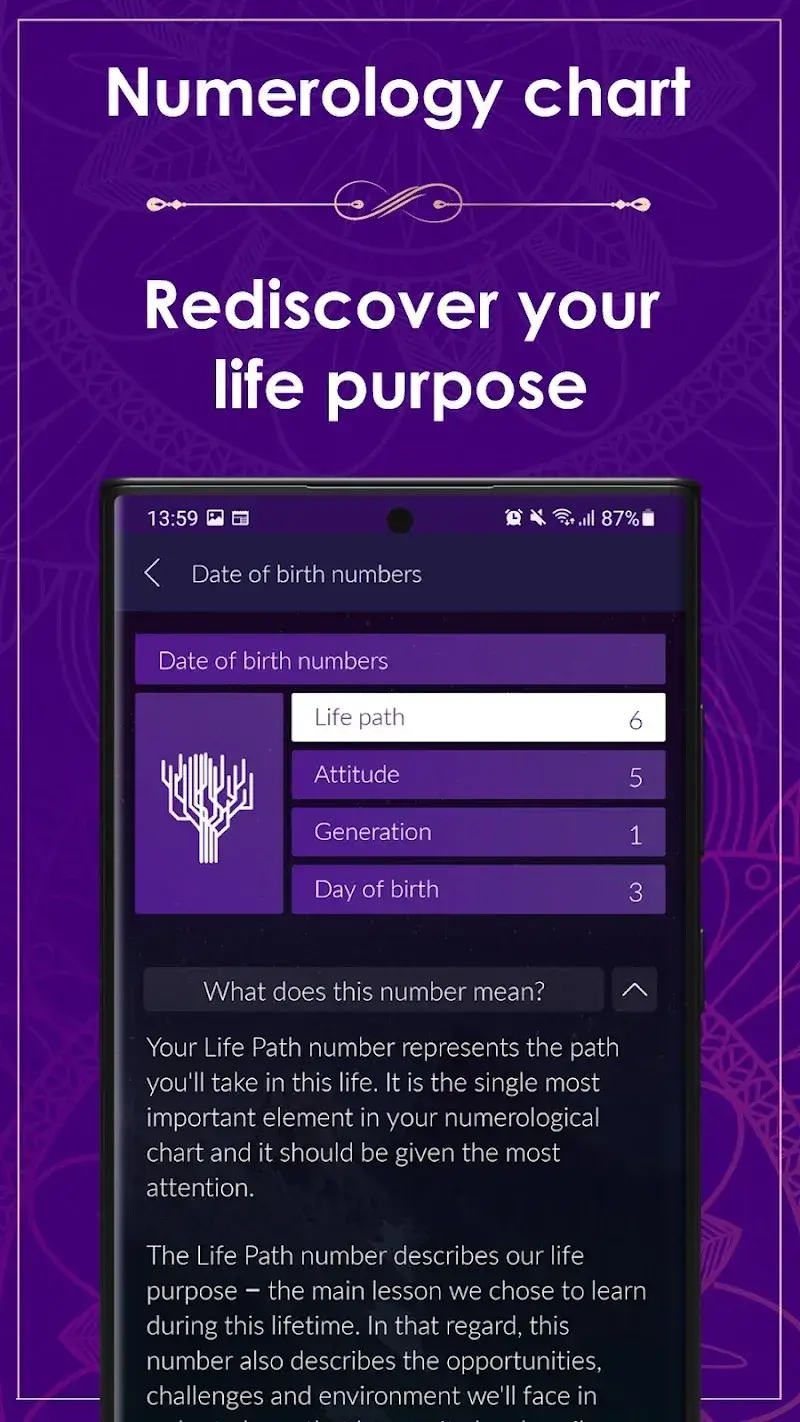 Numerology Rediscover Yourself ภาพหน้าจอ 2