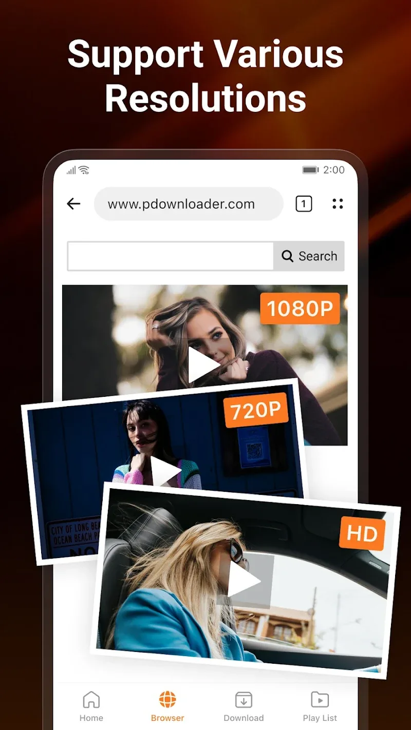 Tangkapan layar PDownloader 3