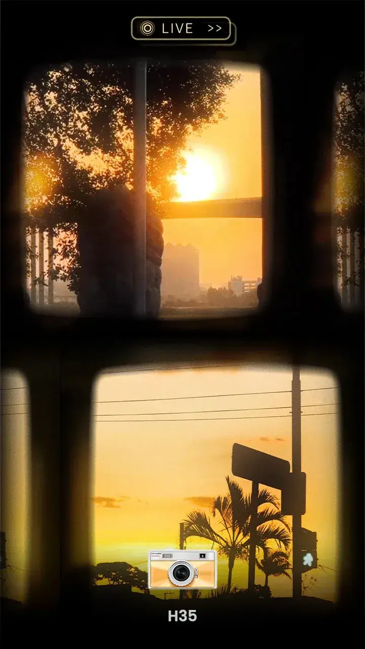 OldRoll - Vintage Film Camera screenshot 5