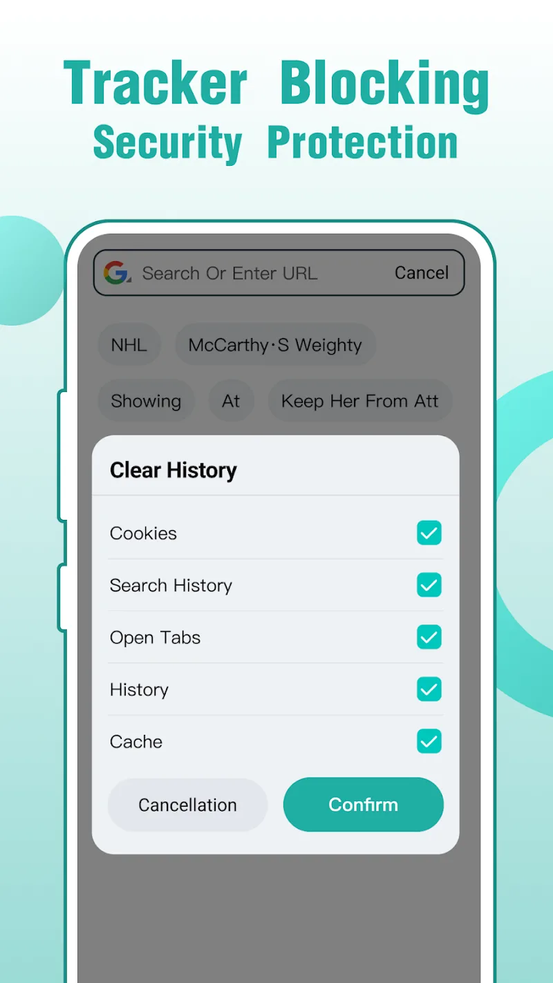 Скриншот Fly Browser 6