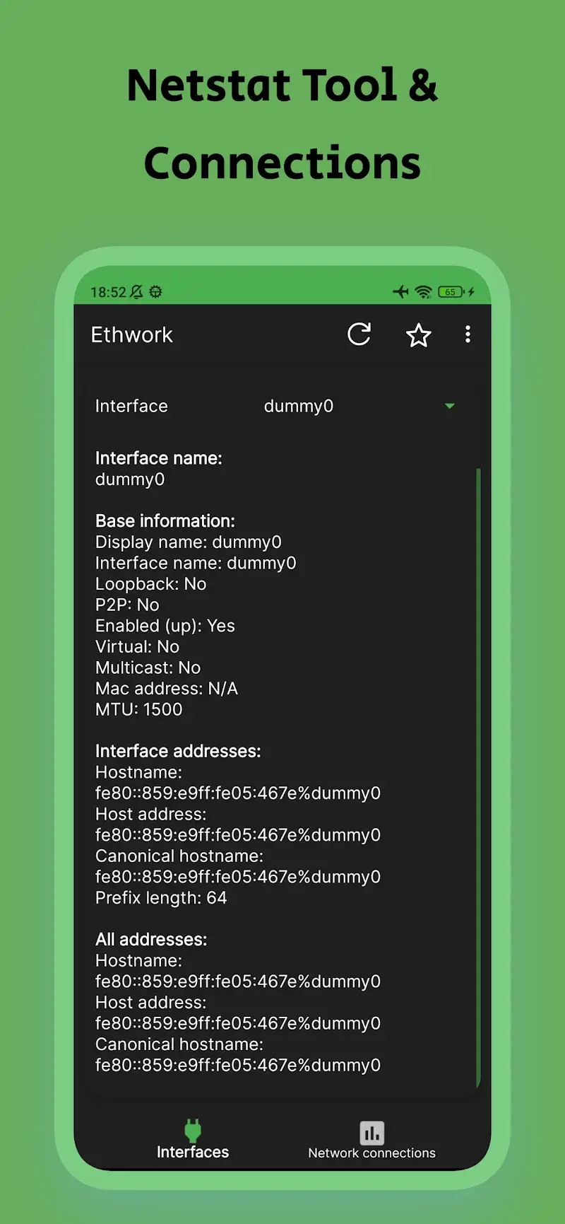 Ethwork: Netstat & Interfaces screenshot 2