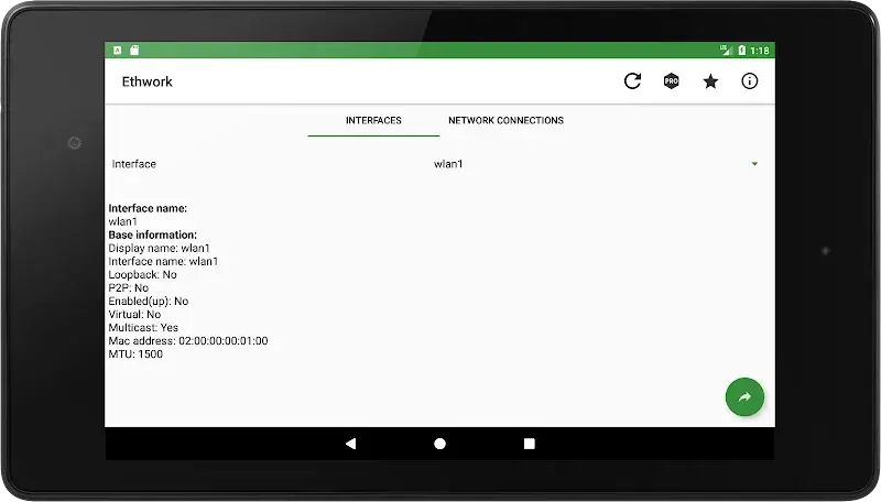 Ethwork: Netstat & Interfaces screenshot 6