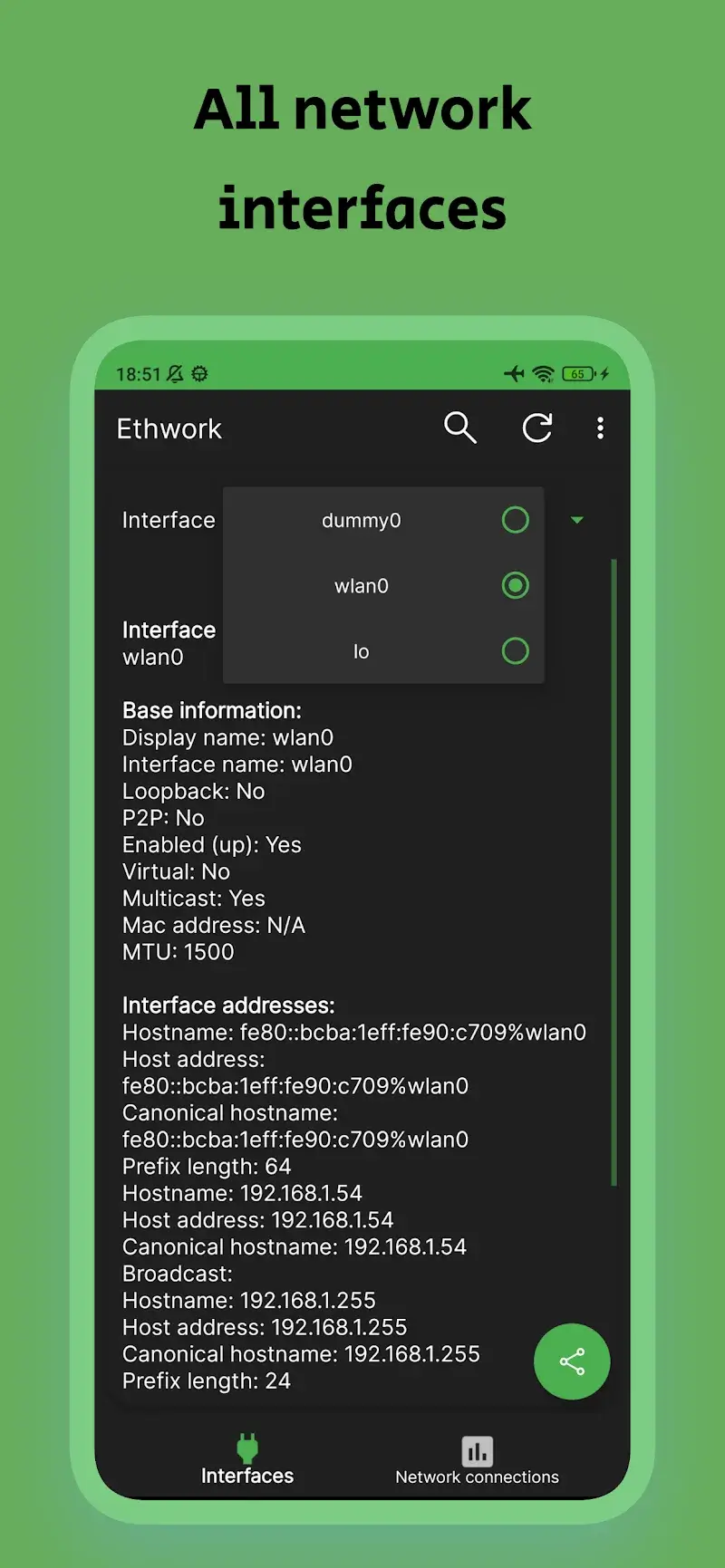 Ethwork: Netstat & Interfaces screenshot 3