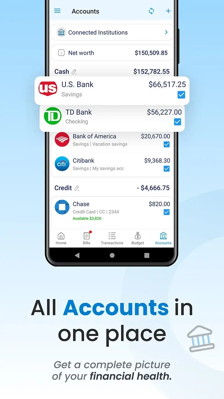 Bill Payment Organizer, Budget captura 5