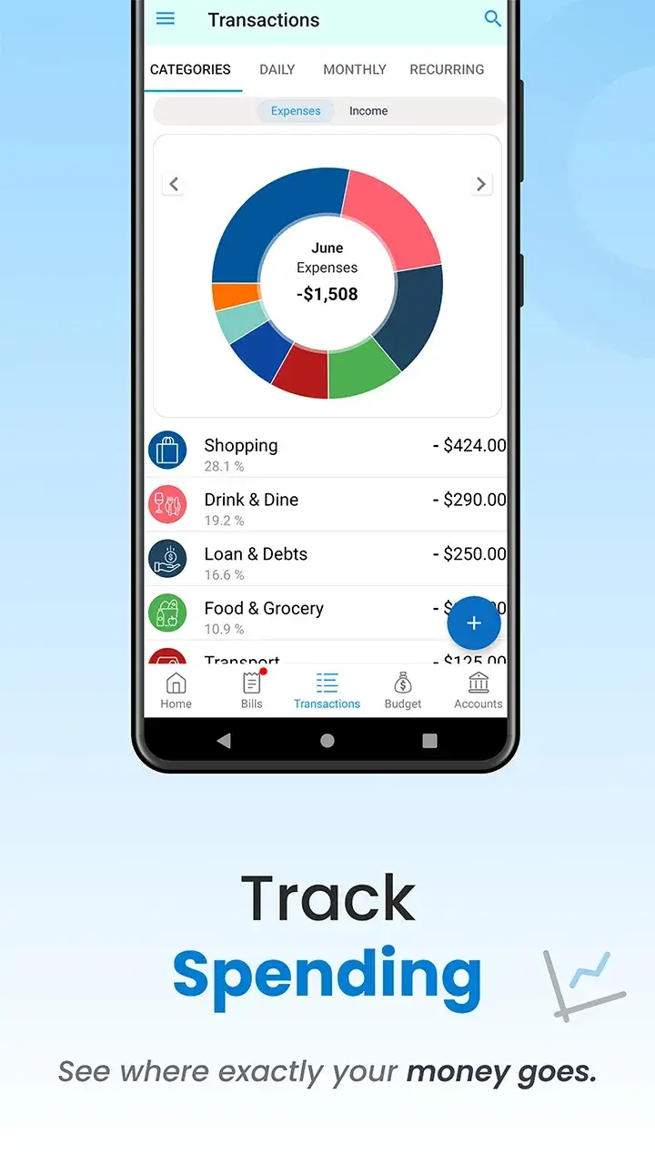 Bill Payment Organizer, Budget captura 3