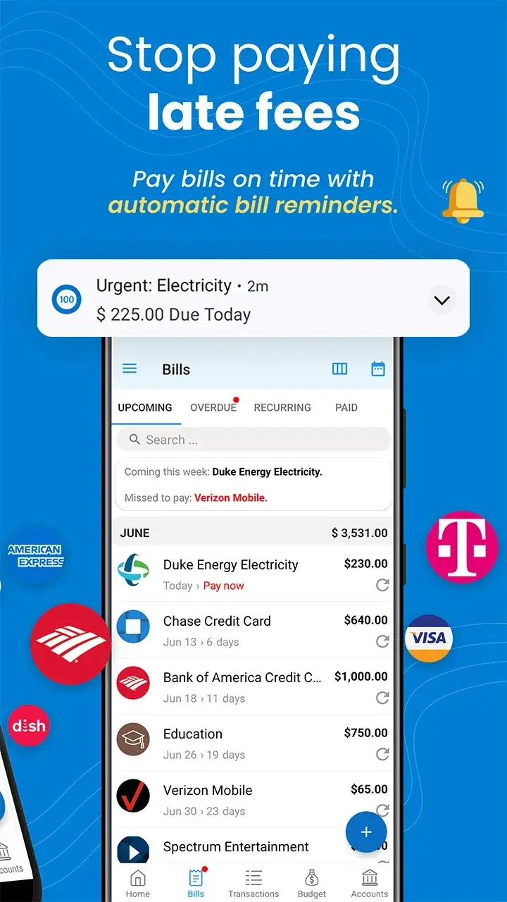 Bill Payment Organizer, Budget captura 2