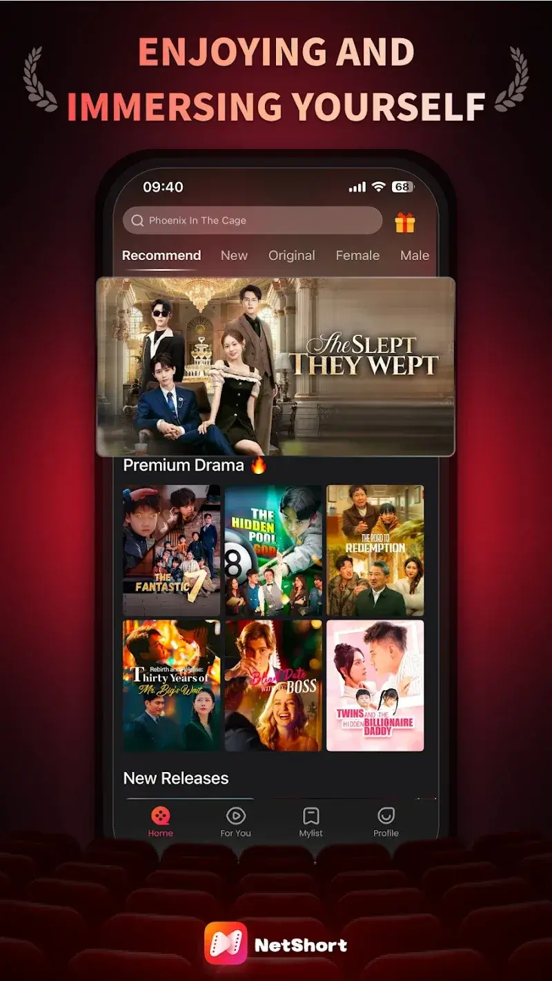 Скриншот NetShort 4