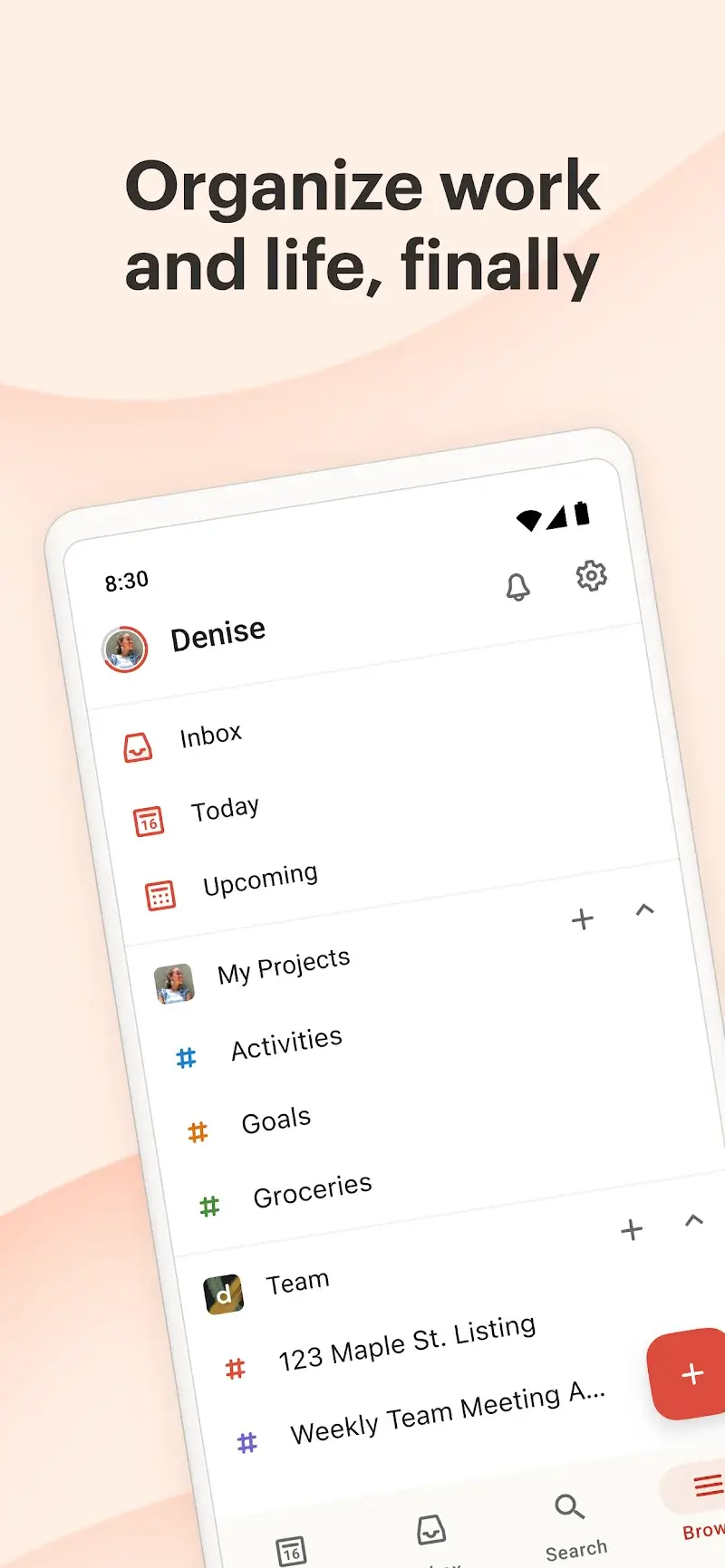 Todoist Screenshot 1