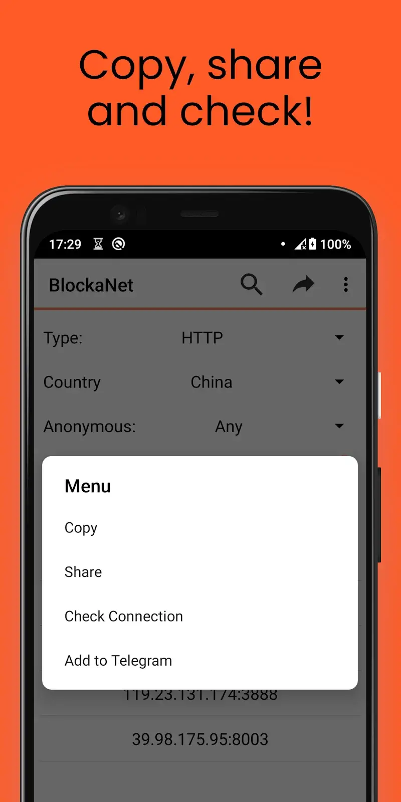 BlockaNet Screenshot 4