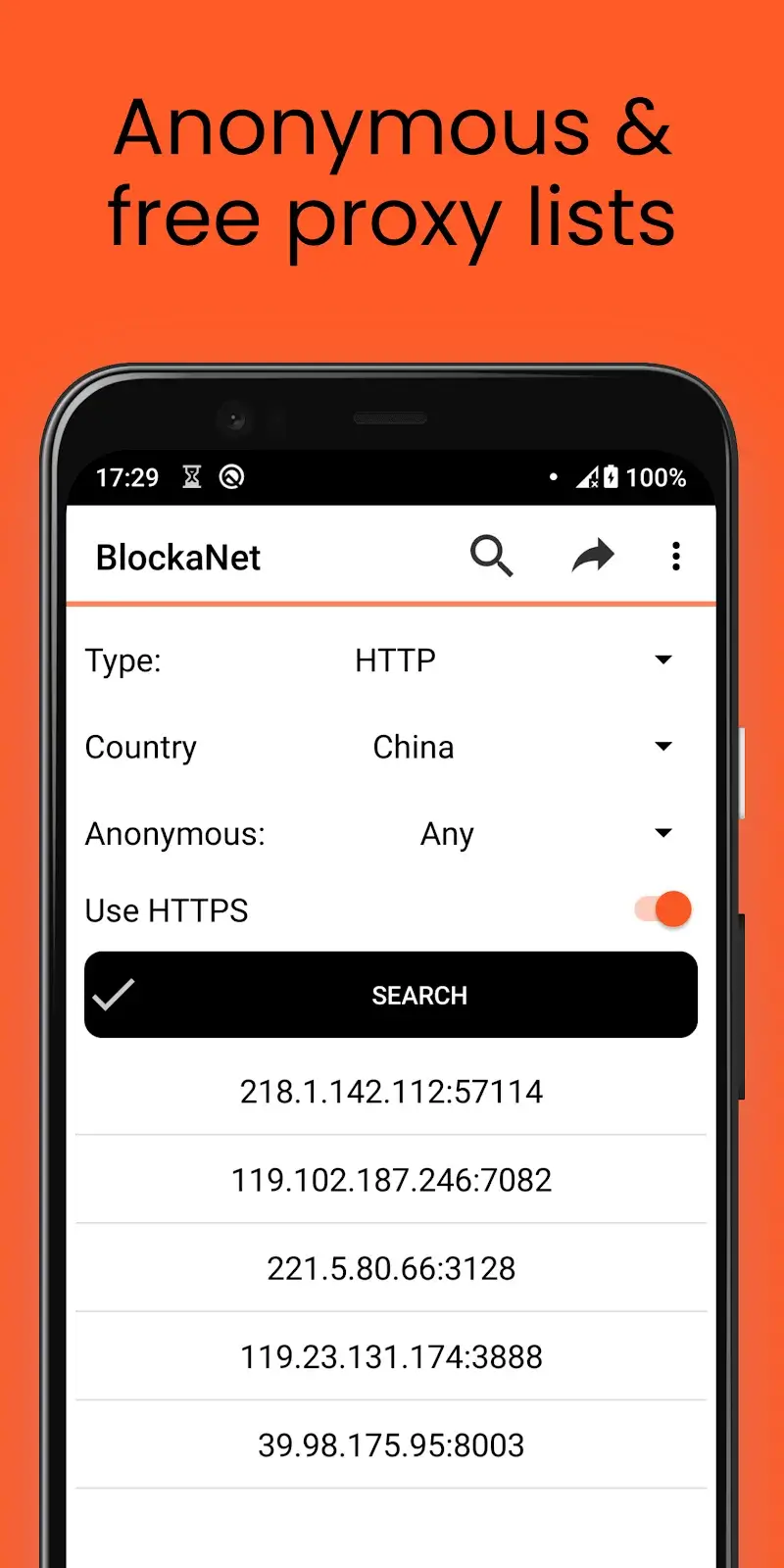 BlockaNet Screenshot 1