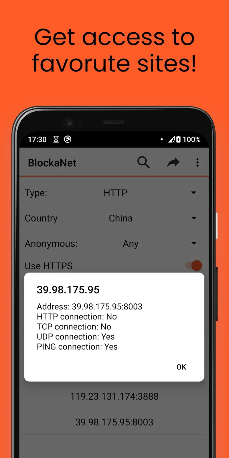 BlockaNet Screenshot 5