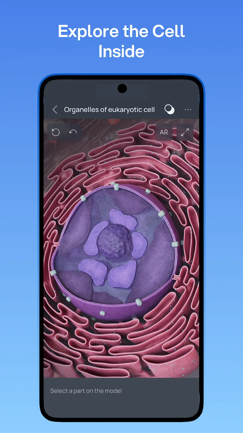 Captura de pantalla de VOKA 4