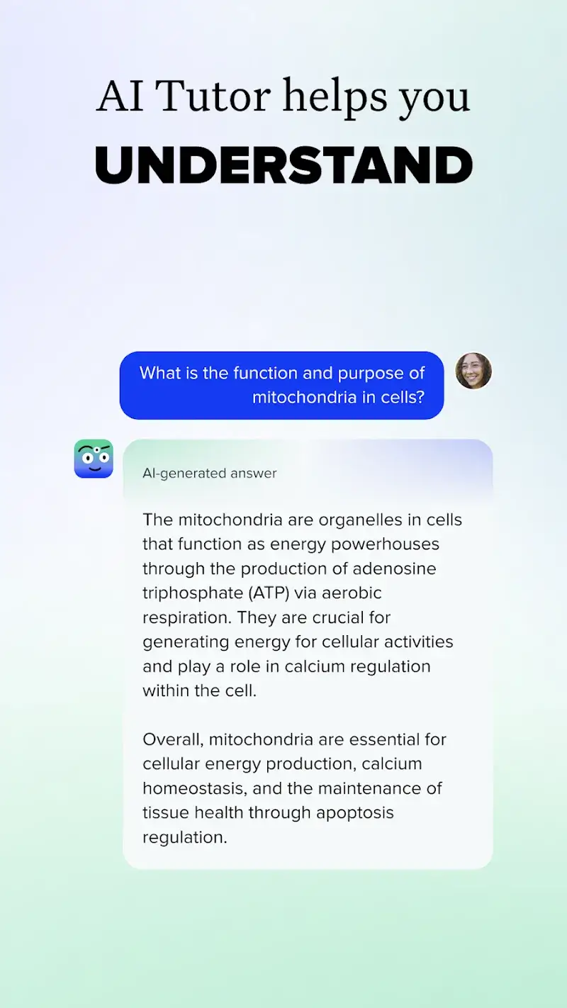 Screenshot Brainly 2