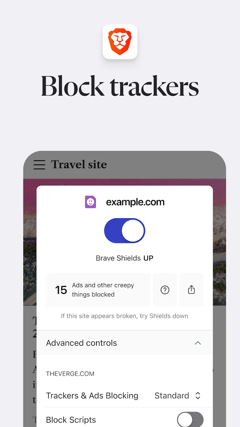 Brave Browser screenshot 4