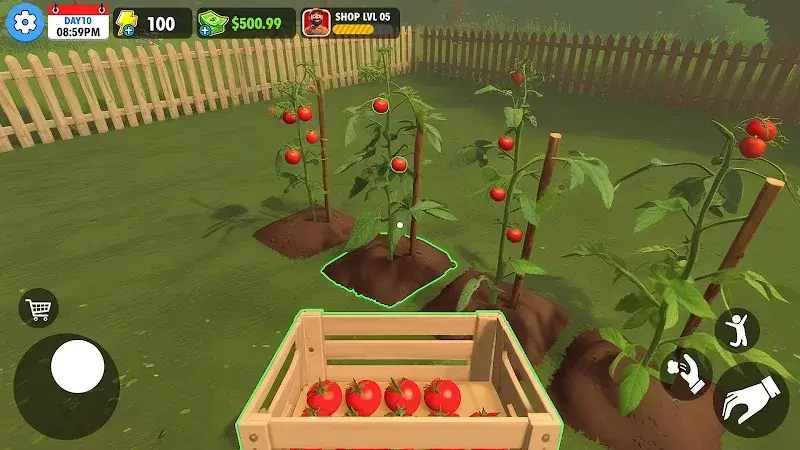 Captura de tela 1 de Farm Supermarket Simulator