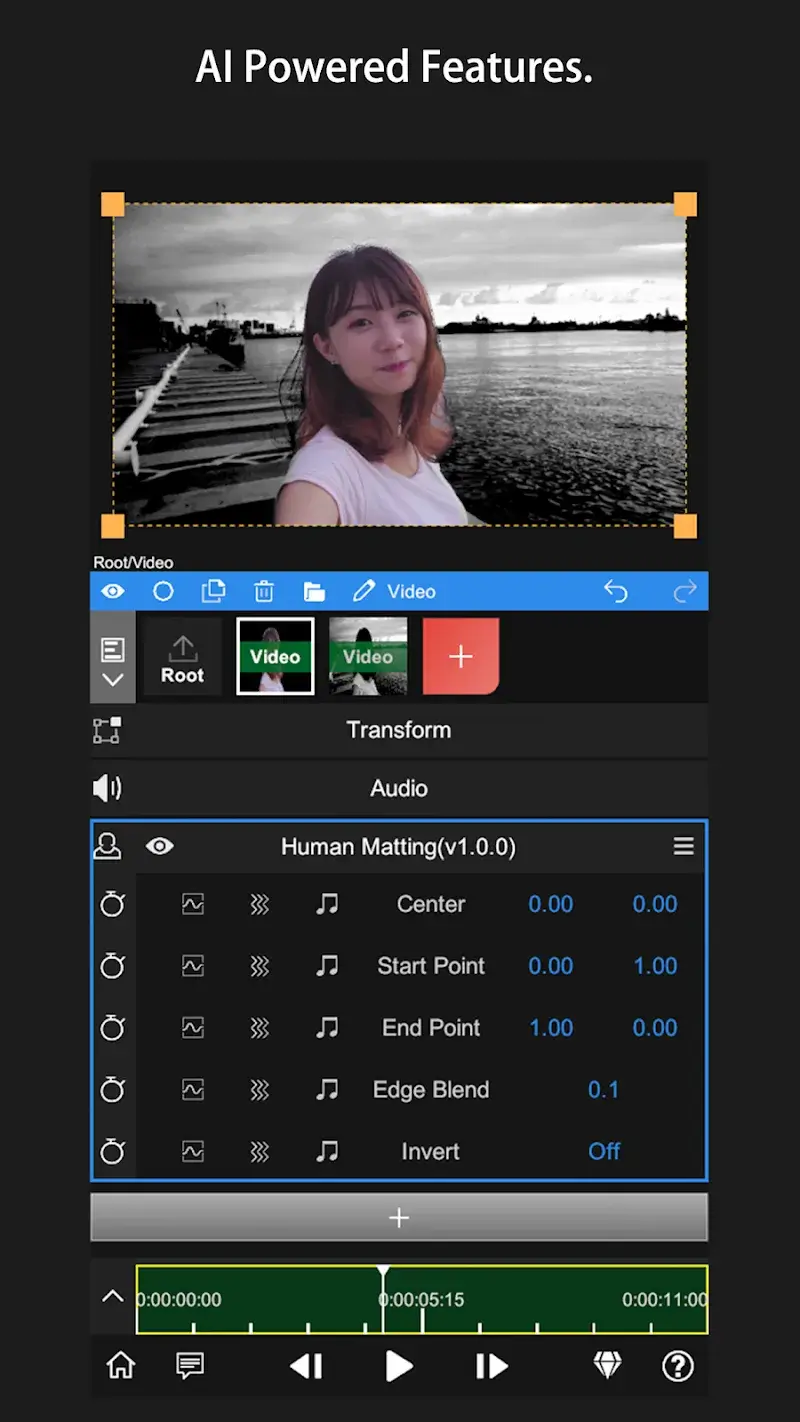 Capture d'écran Node Video 6