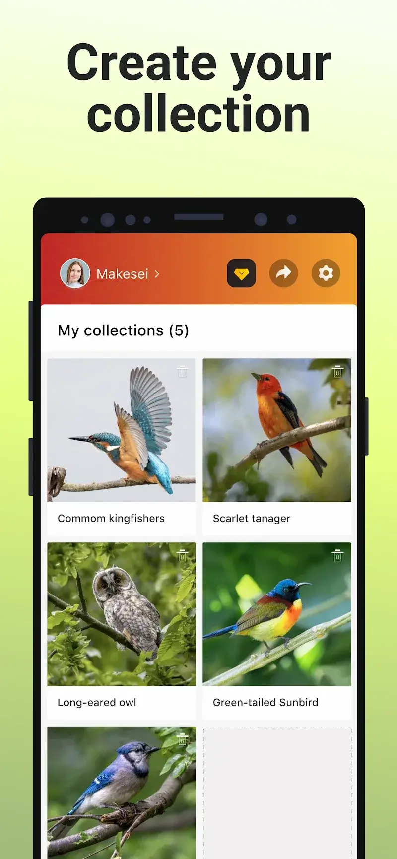 Picture Bird - Bird Identifier Capture d'écran 6