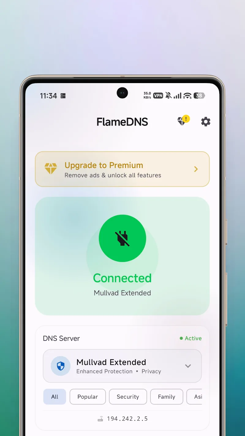 DNS Vault Screenshot 1