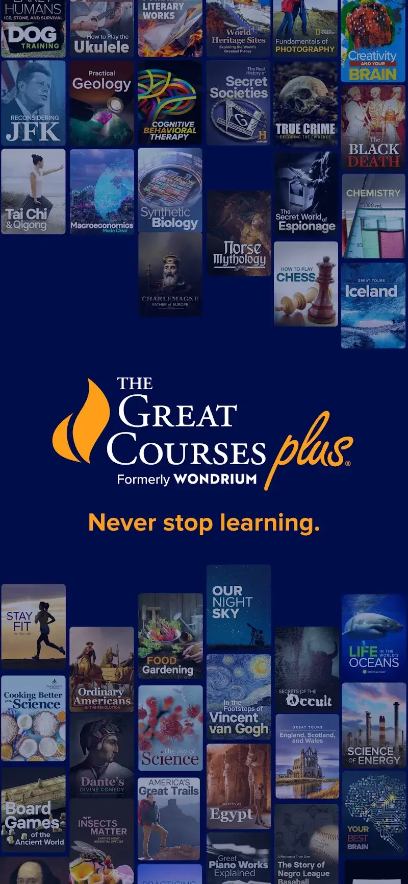 ภาพหน้าจอ The Great Courses Plus 1