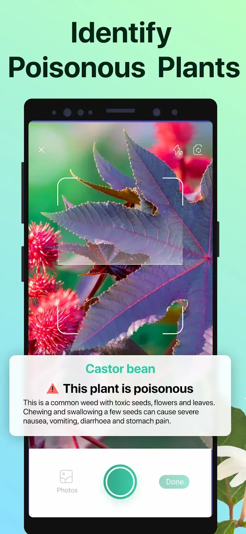 PictureThis captura de pantalla 6