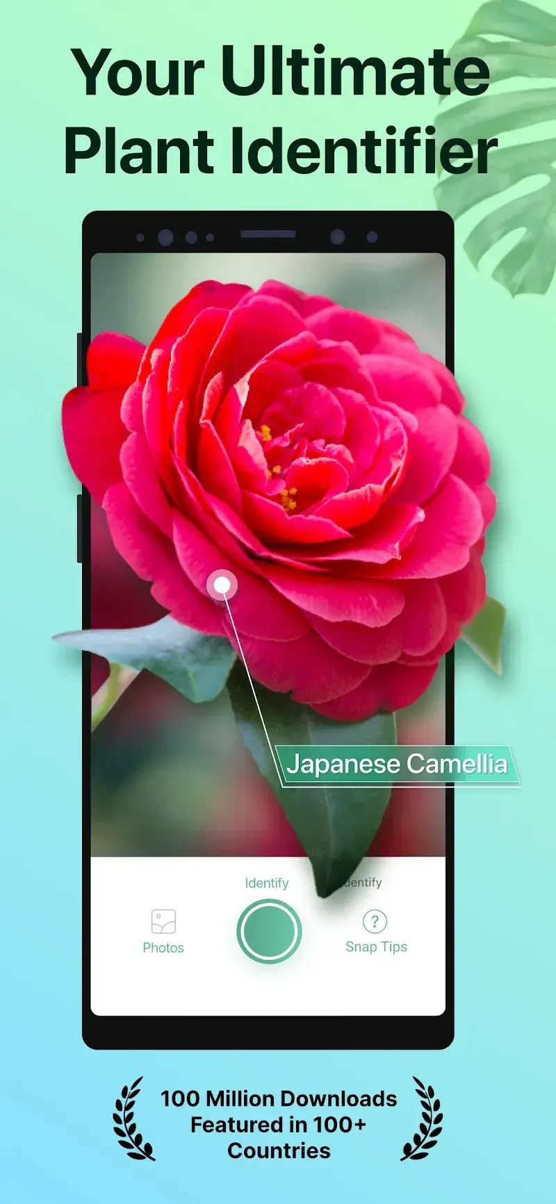 PictureThis captura de pantalla 1