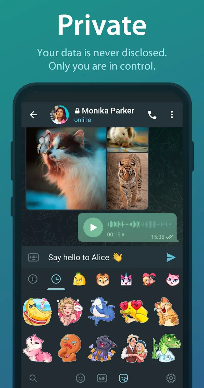Screenshot do Telegram 4