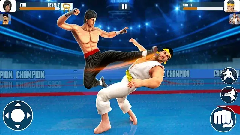 Karate Fighter screenshot 6