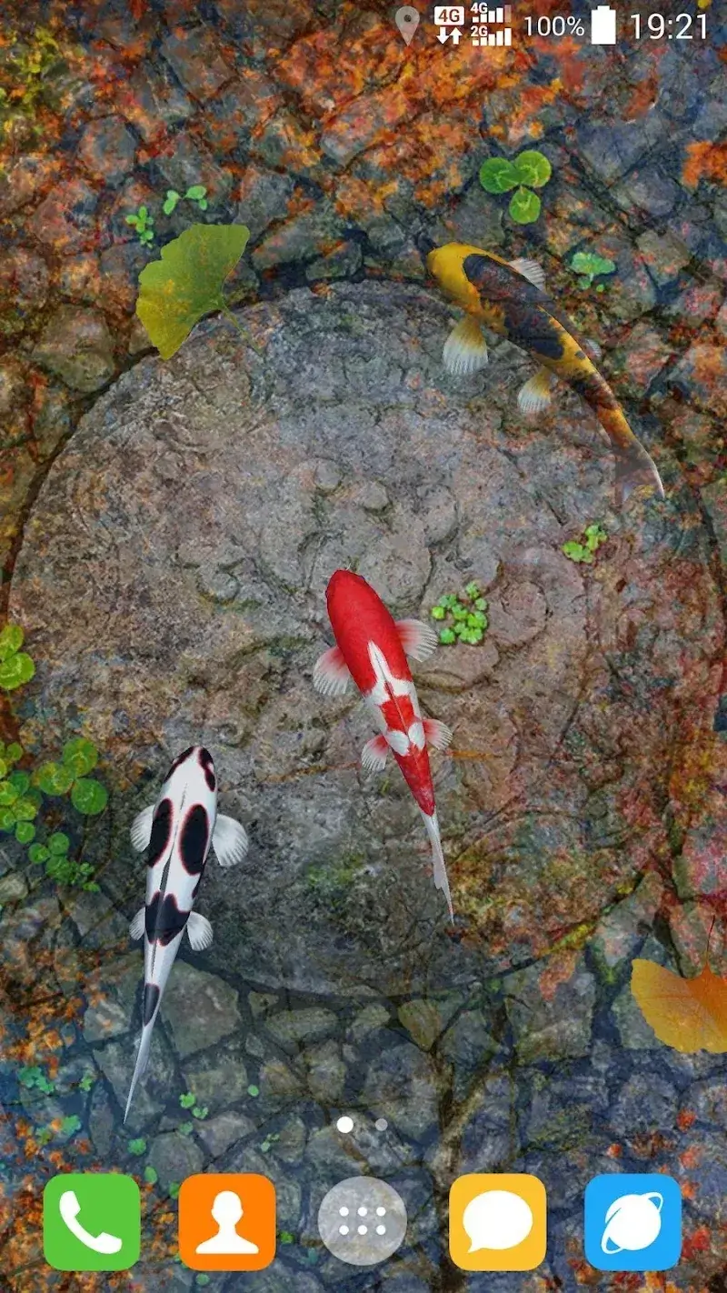 Water Garden Live Wallpaper ekran görüntüsü 6