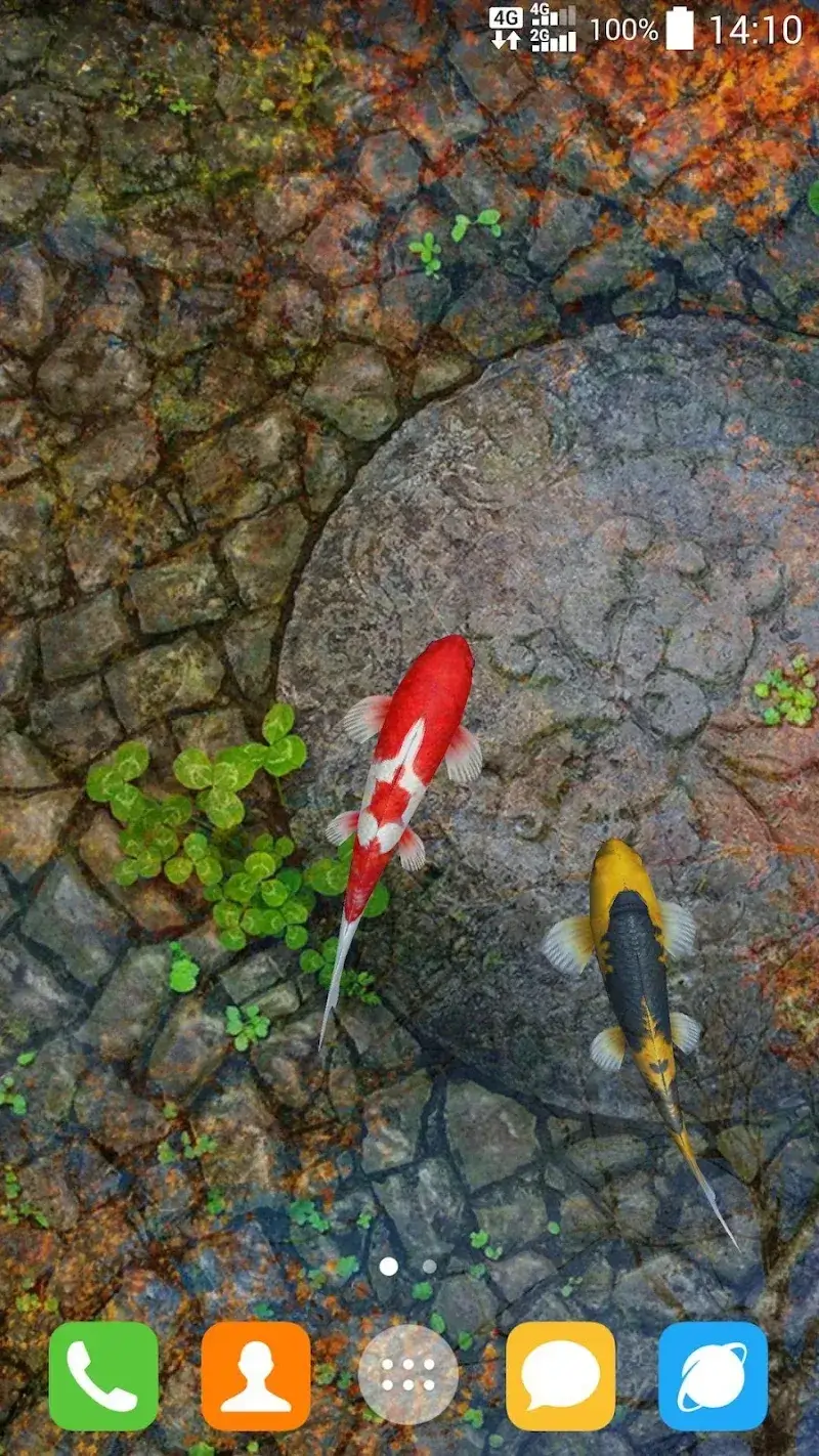 Water Garden Live Wallpaper ekran görüntüsü 5